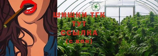 спиды Козловка