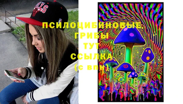спиды Козловка