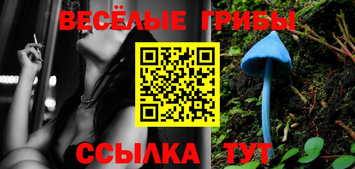 Галлюциногенные грибы Psilocybe Батайск