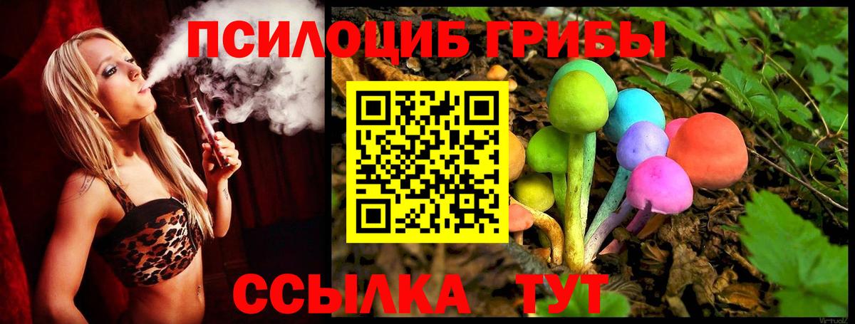 Галлюциногенные грибы Psilocybine cubensis Батайск
