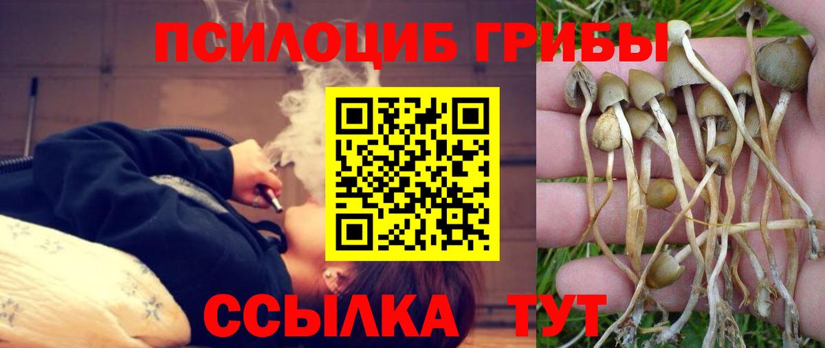 Галлюциногенные грибы Magic Shrooms  Батайск 